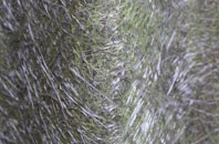 Pont Ystrad fibreglass roof work